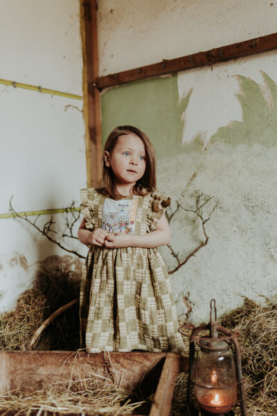 Lina Gingham Kleita "Wild" 